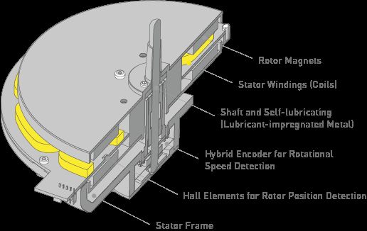 DD Motor